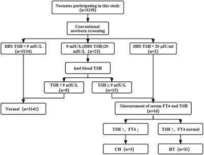 Combined genetic screening and traditional newborn screening to improve the screening efficiency of congenital hypothyroidism